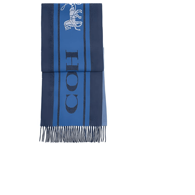 Шарф Coach - Boxette Shop